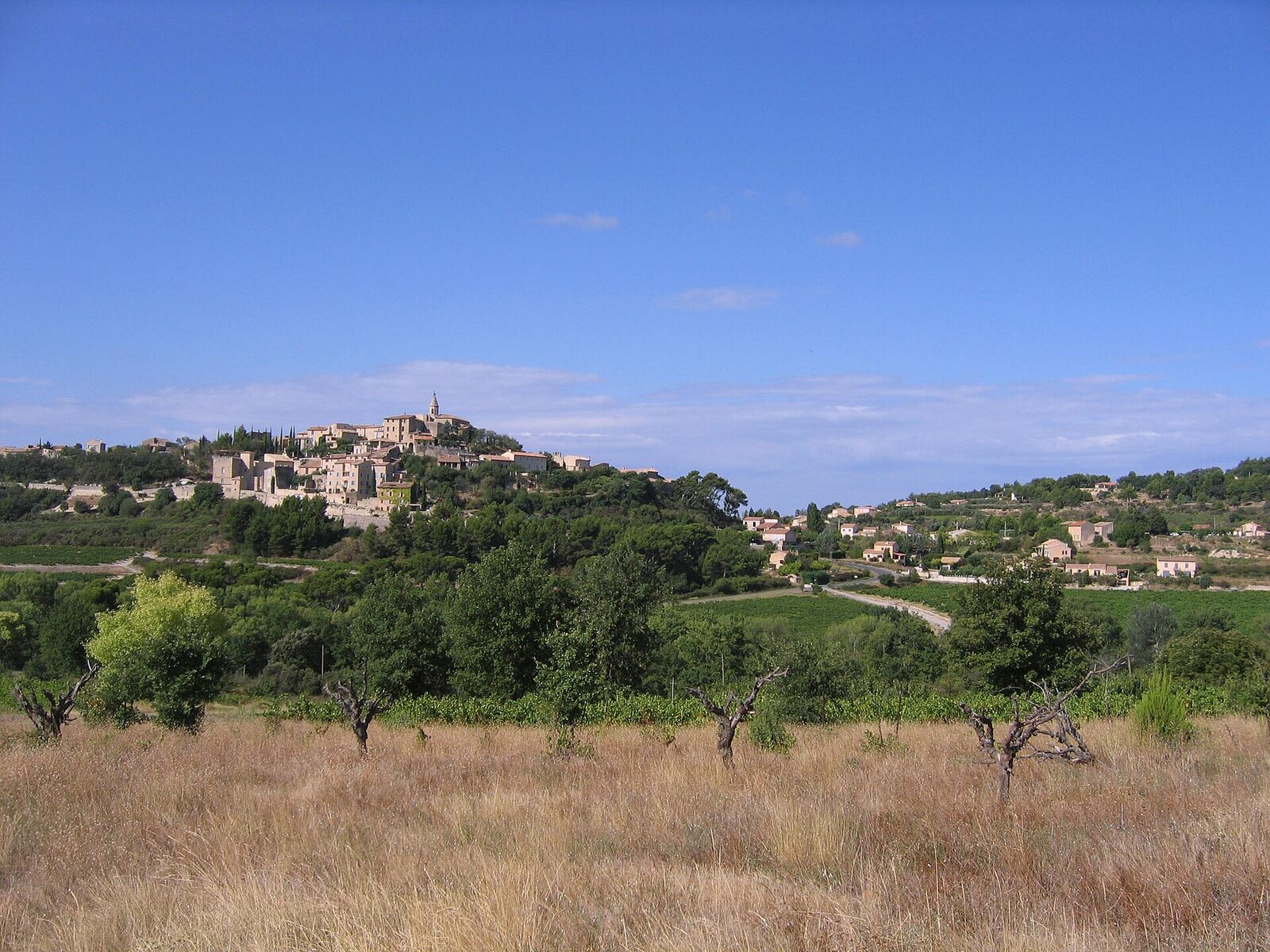 Crillon-le-Brave on its hilltop, among the vineyards