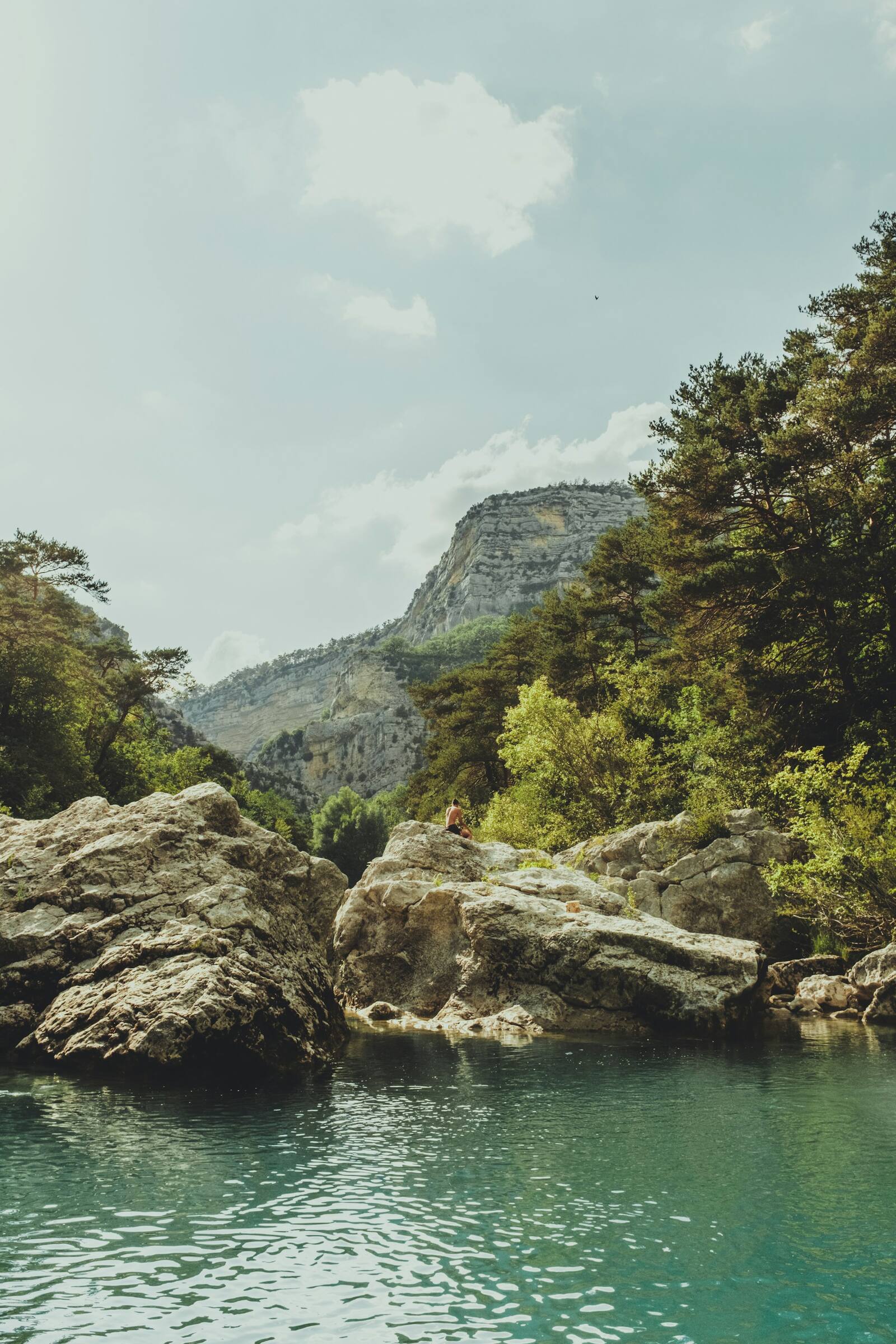 Kalksteinfelsen und Wald über einer Schlucht