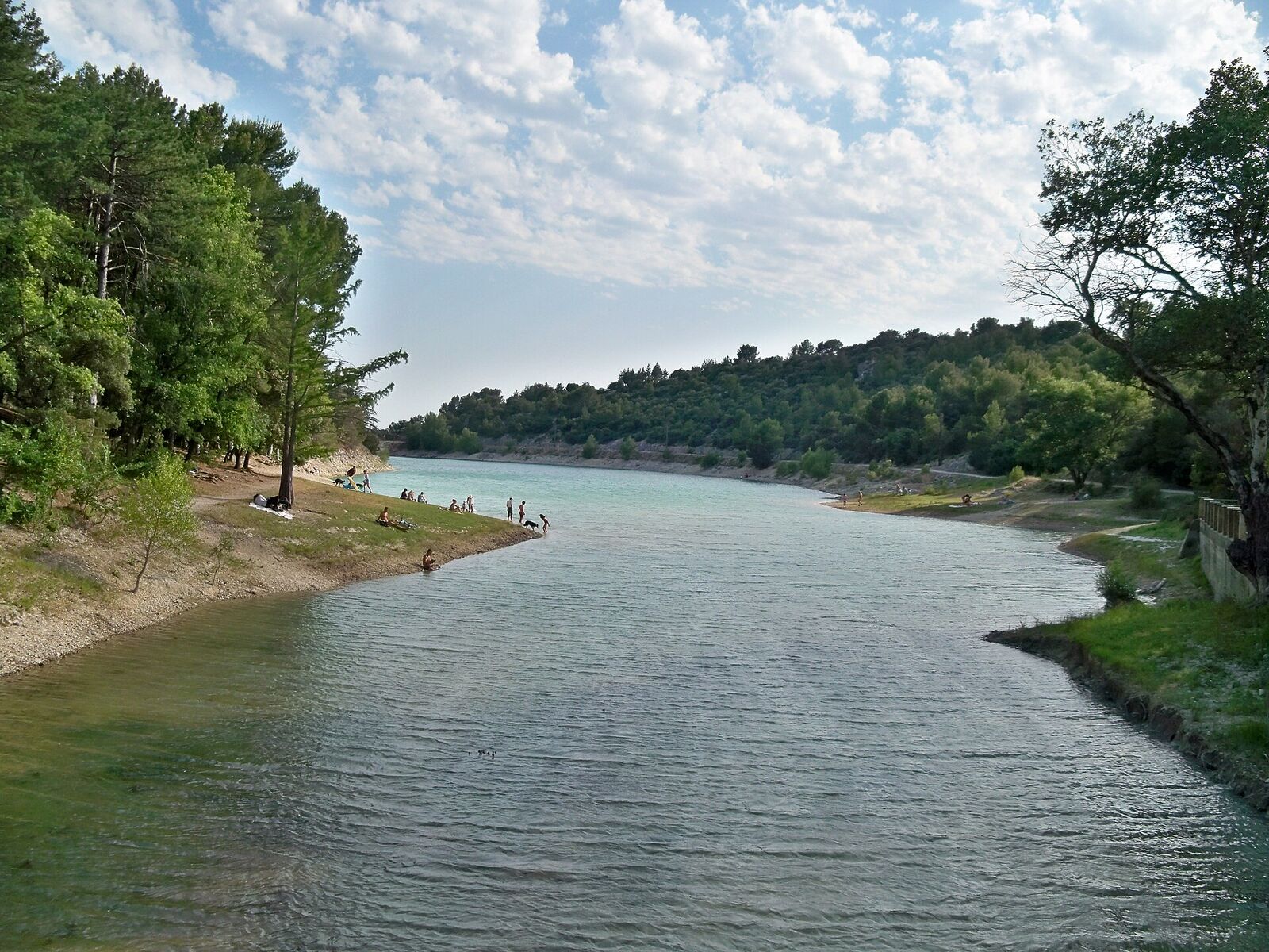 Le lac du Paty entouré de pins, au-dessus de Caromb