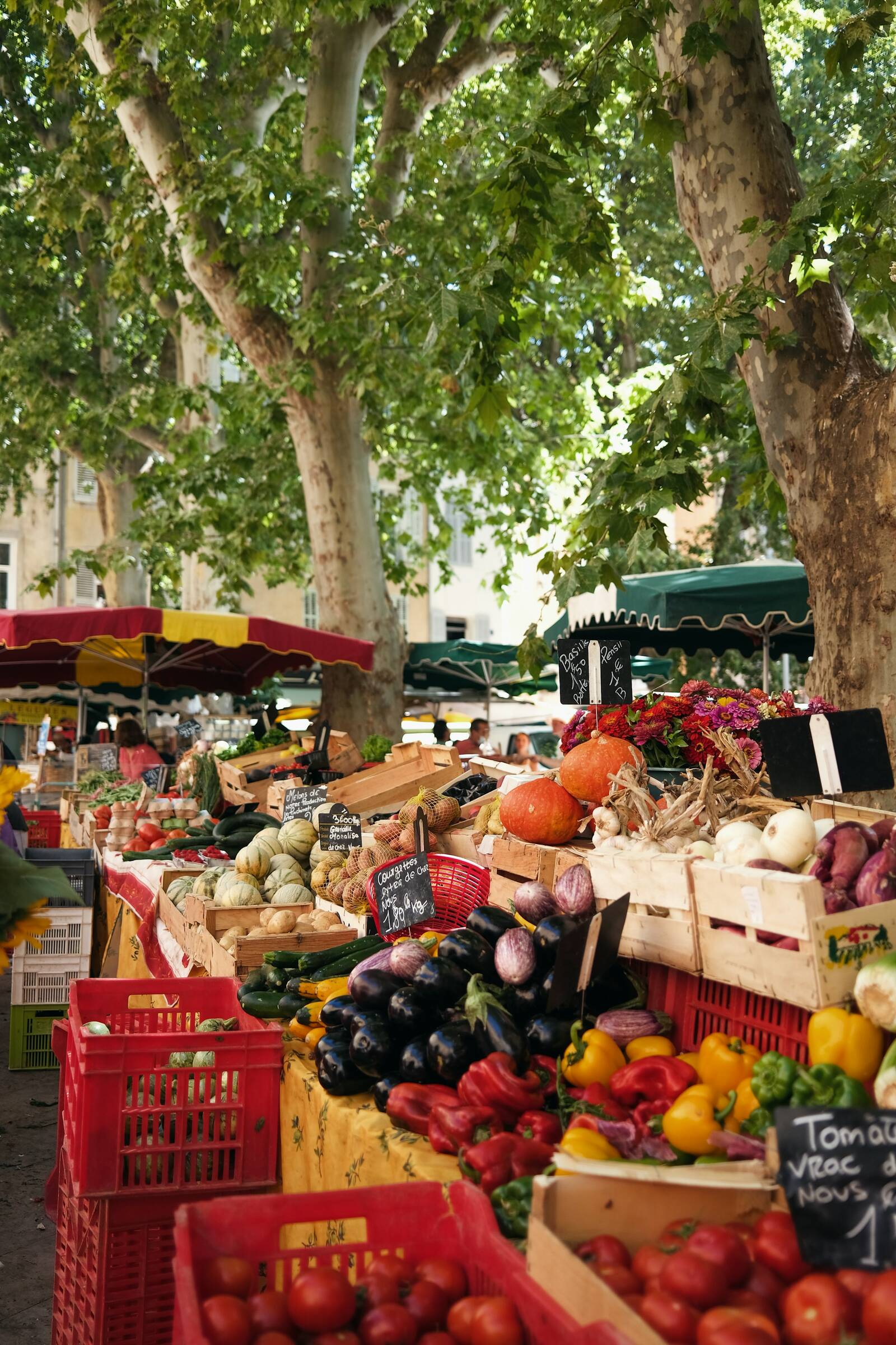 Ein provenzalischer Markt unter Platanen