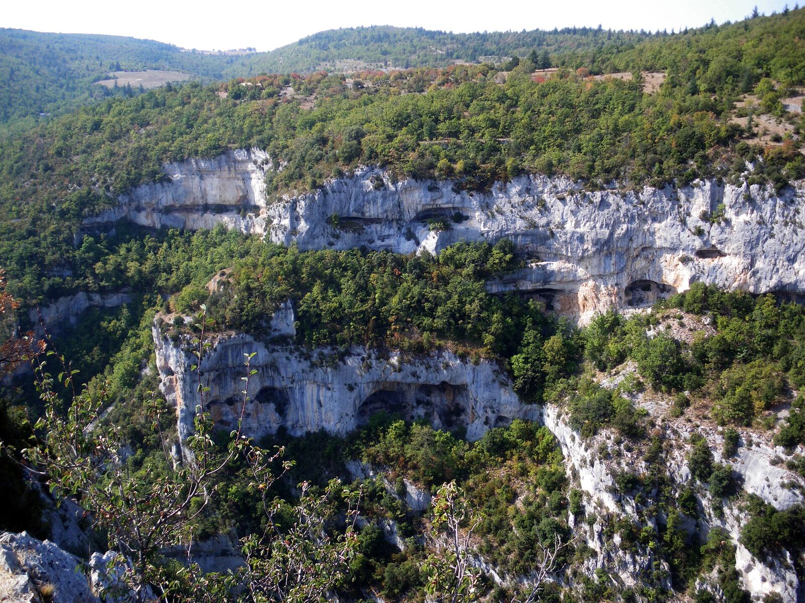 Die Kalkfelsen der Nesque-Schlucht