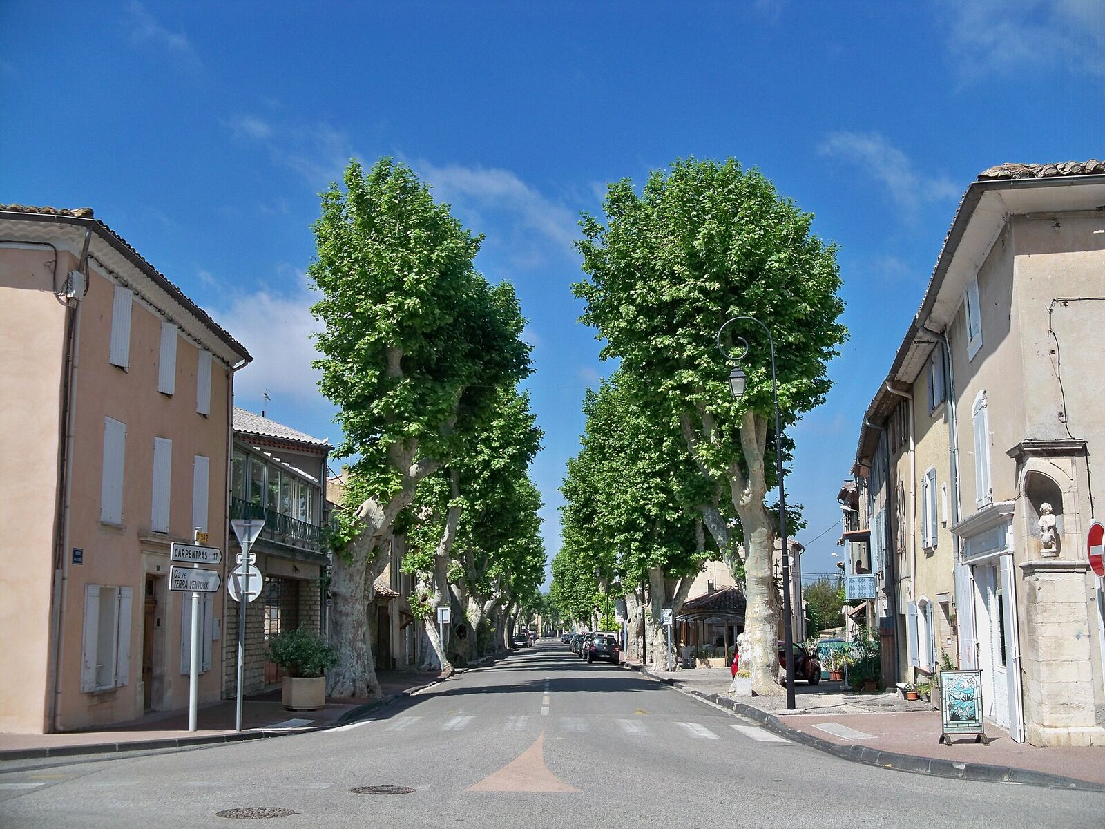 A plane-tree-lined street in Villes-sur-Auzon